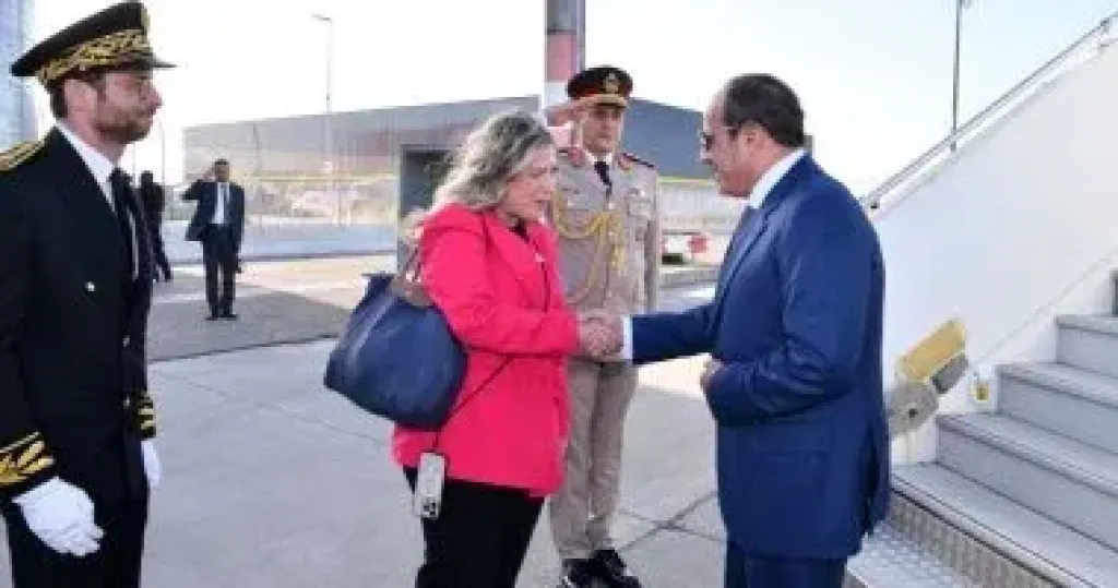  نشاط مكثف للرئيس السيسى 