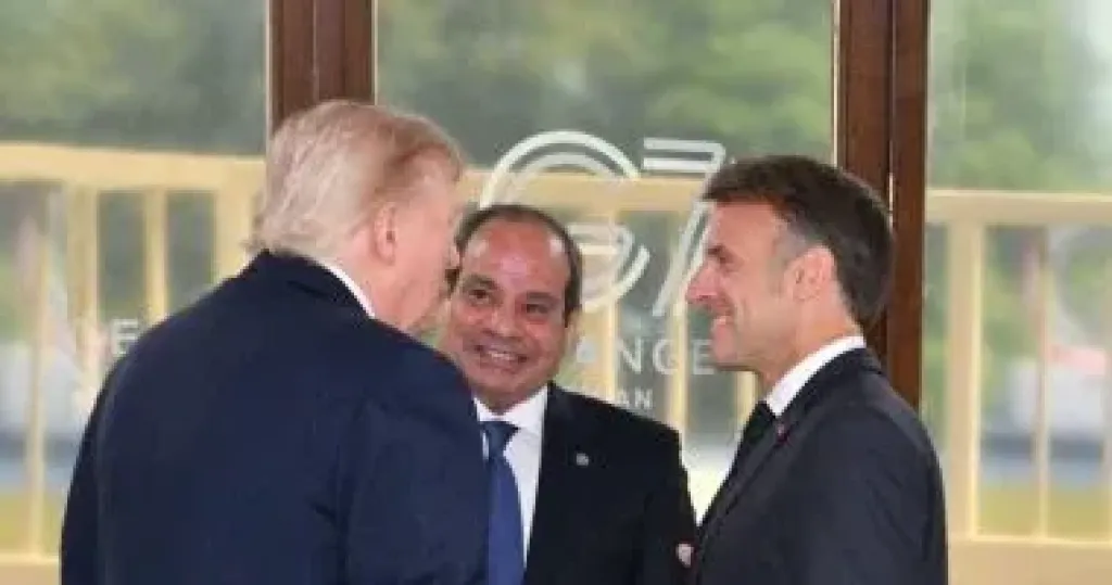 الرئيس السيسى: 
