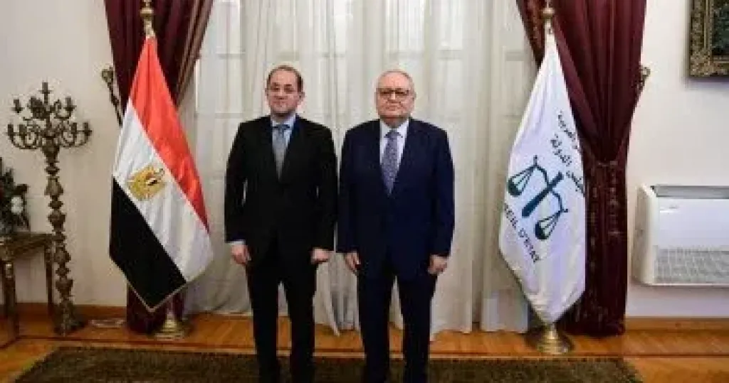 رئيس مجلس الدولة يستقبل وزير المالية.