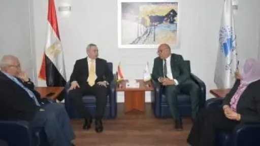 الإحصاء والاتحاد الأوروبى يبحثان تعزيز إدارة المهارات والإستفادة من التجارب الدولية الرائدة
