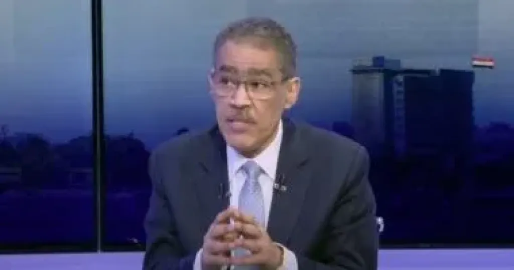 ضياء رشوان: