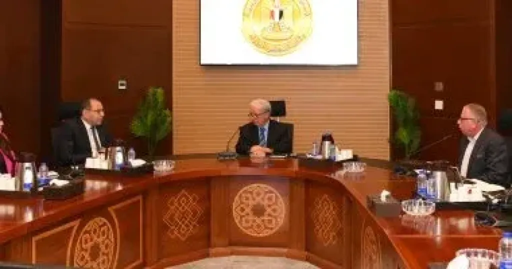 نائب رئيس مجلس الوزراء 
