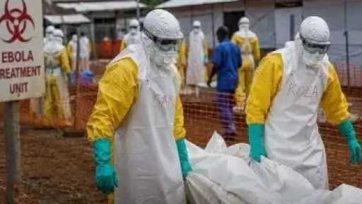 الصحة العالمية: إيبولا يفتك بـ232 شخصًا في الكونغو وارتفاع الإصابات لـ896