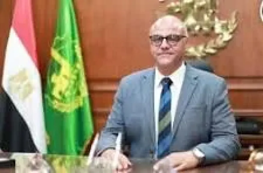 محافظ الإسكندرية 