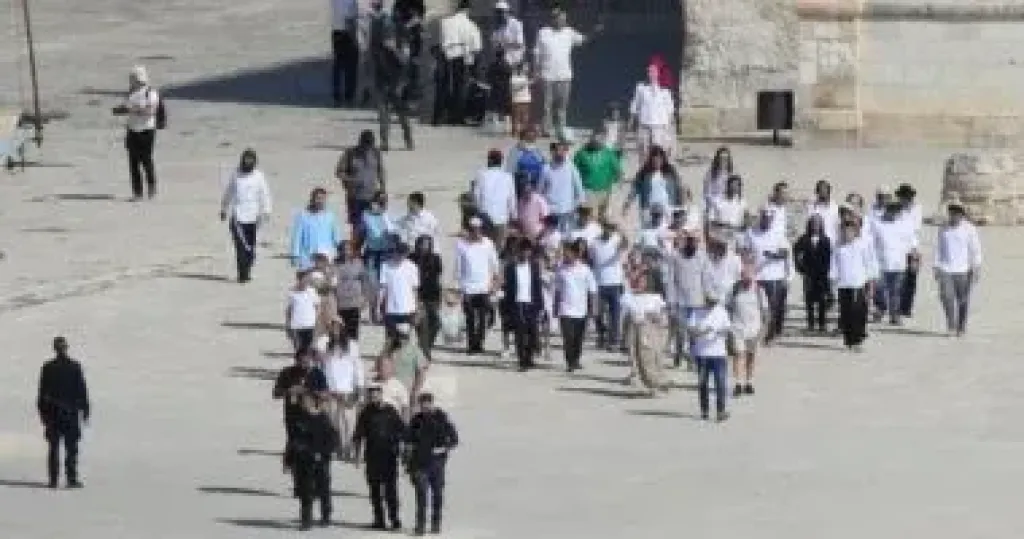 مستوطنون 