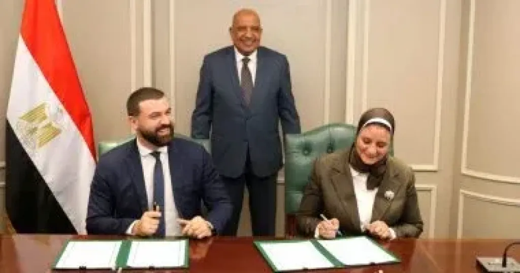 "نقل الكهرباء" و"هيكا داتا" 