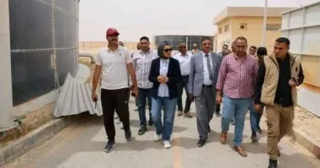 الوادى الجديد