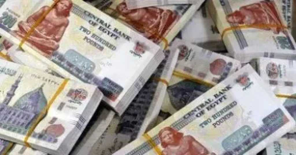 الداخلية تكشف قضية غسل أموال بقيمة 100 مليون جنيه