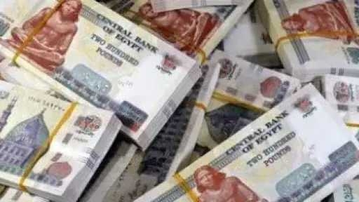الداخلية تكشف قضية غسل أموال بقيمة 100 مليون جنيه
