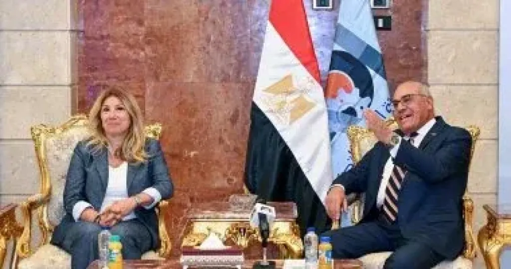 الشركة العربية الإفريقية