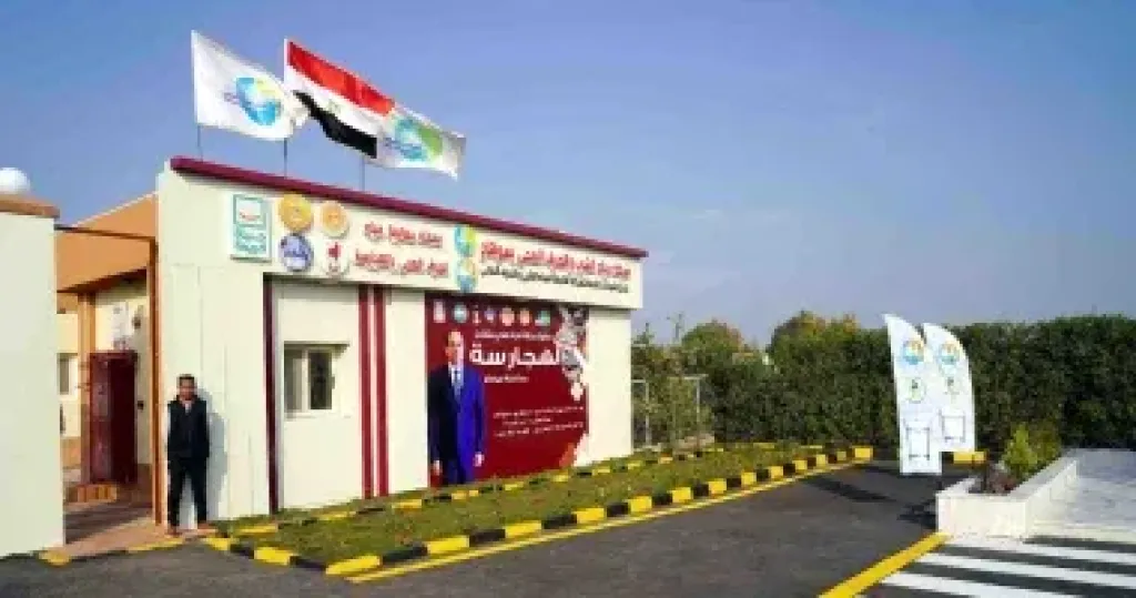 التنمية المحلية 
