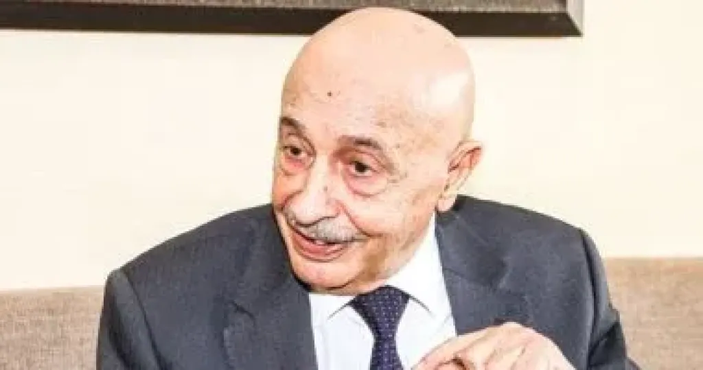 ليبيا تخاطب الدول الصديقة