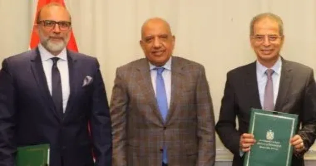 وزير الكهرباء 