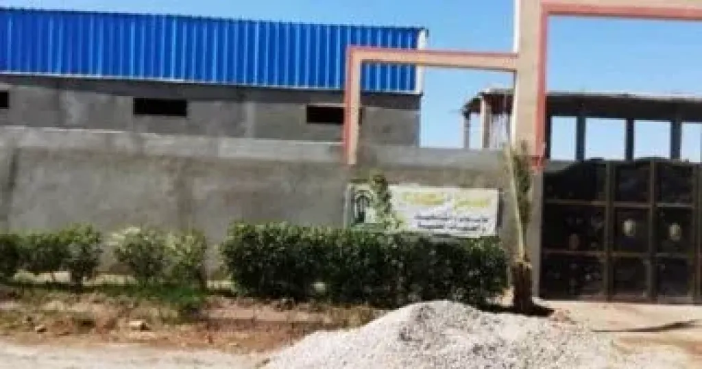 منال عوض: