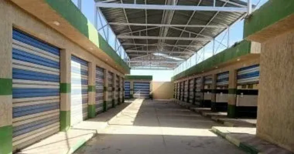 التنمية المحلية 