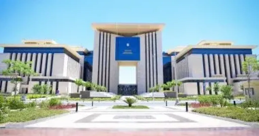 للمصريين في الخارج..