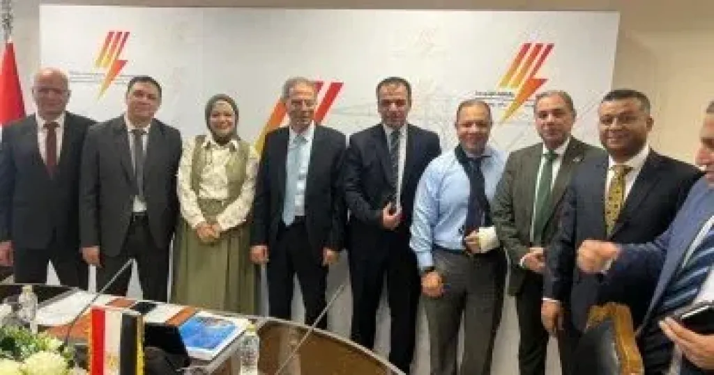 شبكة كهرباء شمال الدلتا