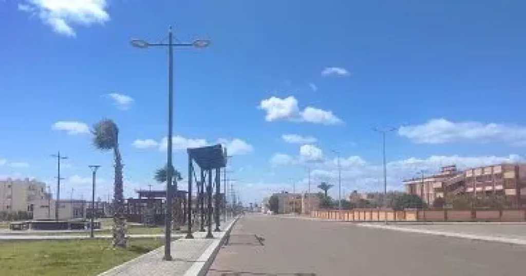 منخفض الهند الموسمي 