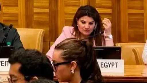 الأمم المتحدة تعتمد قراراً مصرياً بخصوص حماية العاملين في المجال الإنساني