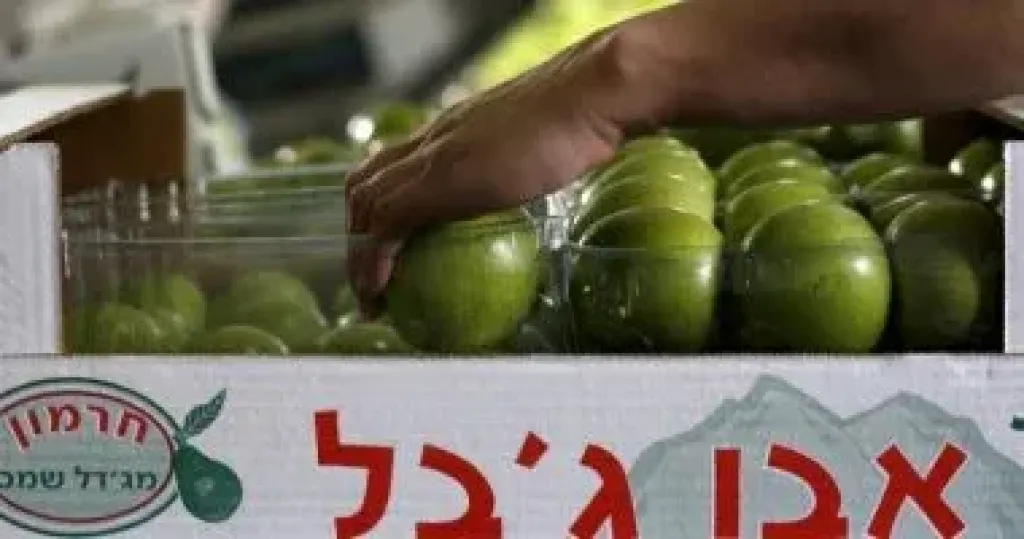 البرلمان الإيرلندي 