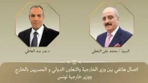 وزيرا الخارجية المصرى والتونسي يبحثان العلاقات الثنائية والتطورات الإقليمية