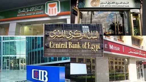 المركزي: ارتفاع عدد الشيكات المصرفية بالجنيه إلى 2.7 مليون ورقة خلال الربع الأول من العام المالي