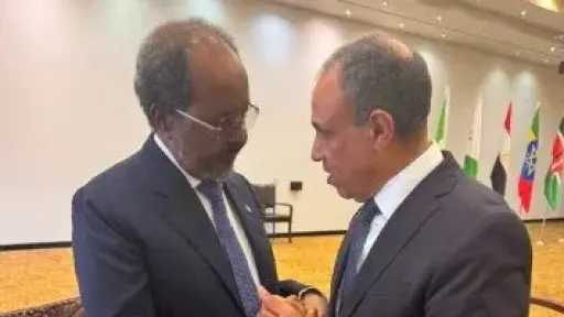 خلال لقائه الرئيس الصومالي.. وزير الخارجية يؤكد دعم مصر الكامل لسيادة الصومال