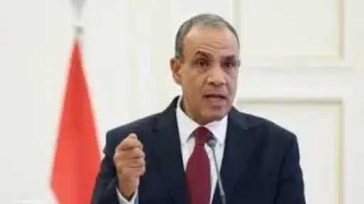 وزير الخارجية للمصريين بالخارج: أدعوكم للعمل الجاد لتوحيد الجهود تحت سقف واحد