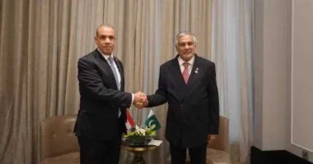 وزير الخارجية يبحث مع نظيره الباكستانى دعم مسار المفاوضات بين أمريكا وإيران