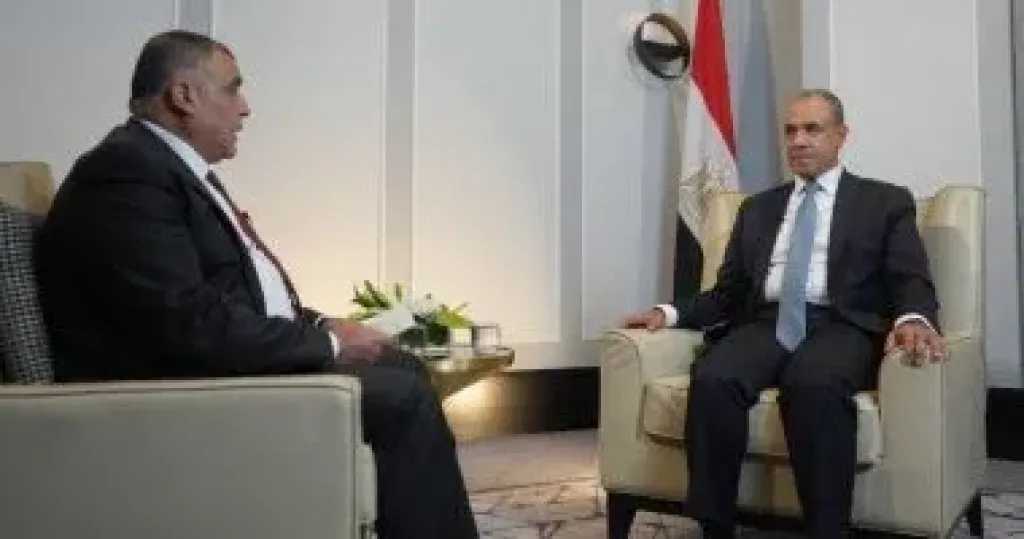وزير الخارجية يستعرض جهود مصر الرامية لخفض التصعيد ودعم الأمن والاستقرار