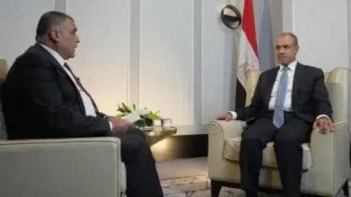 وزير الخارجية يستعرض جهود مصر الرامية لخفض التصعيد ودعم الأمن والاستقرار