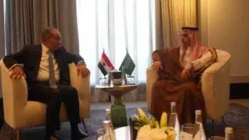 وزير الخارجية يبحث مع نظيره السعودي التطورات في إيران وجهود خفض التصعيد