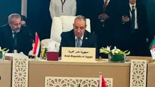 وزير الخارجية يؤكد رفض مصر لتهجير الفلسطينيين أو المساس بالوضع فى القدس