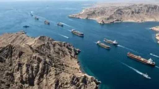 مصر تدين استهداف ناقلة نفط إماراتية فى مضيق هرمز