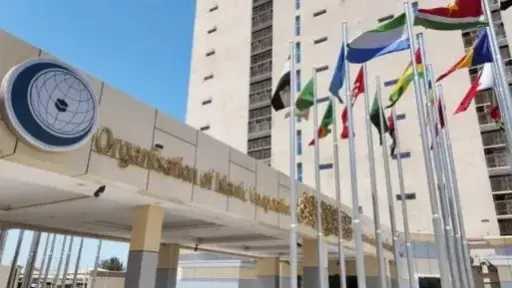”التعاون الإسلامي” ترحب بقرار الأمم المتحدة بشأن مشاركة فلسطين في أعمال دورتها الـ81