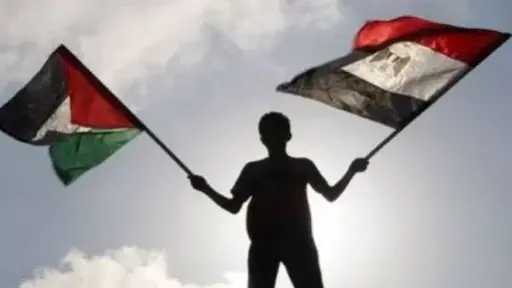 مسئول بالجامعة العربية: دور مصر محوري وأساسي في دعم القضية الفلسطينية