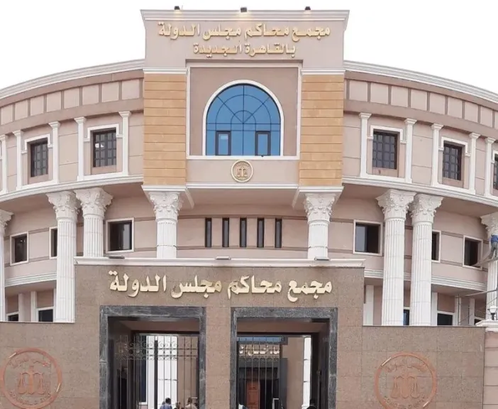 مجلس الدولة 