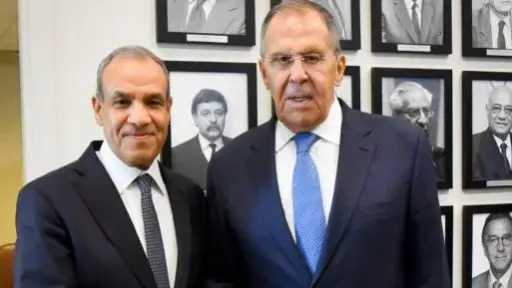 وزير الخارجية يلتقى نظيره الروسى
