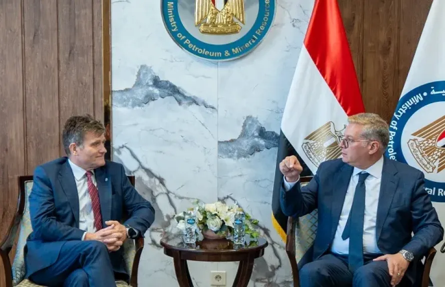 كريم بدوي: 