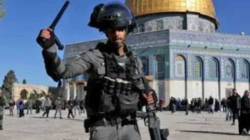 الأوقاف الفلسطينية: 2468 مستوطنا اقتحموا اليوم المسجد الأقصى في القدس المحتلة