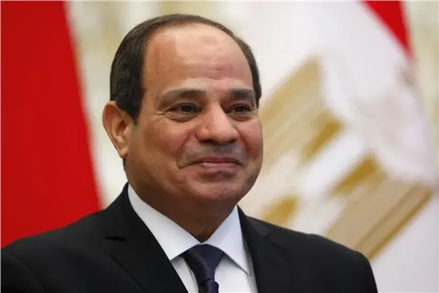  الرئيس السيسي 
