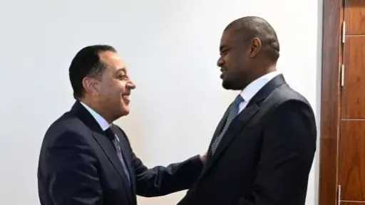 رئيس الوزراء يلتقي نائب رئيس جمهورية تنزانيا المتحدة بالعلمين الجديدة