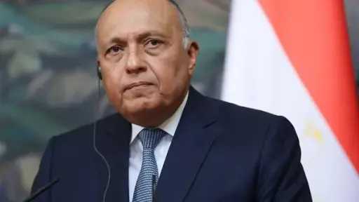 سامح شكري رئيسًا لـ«العلاقات الخارجية».. والبزار والمغازي وكيلين
