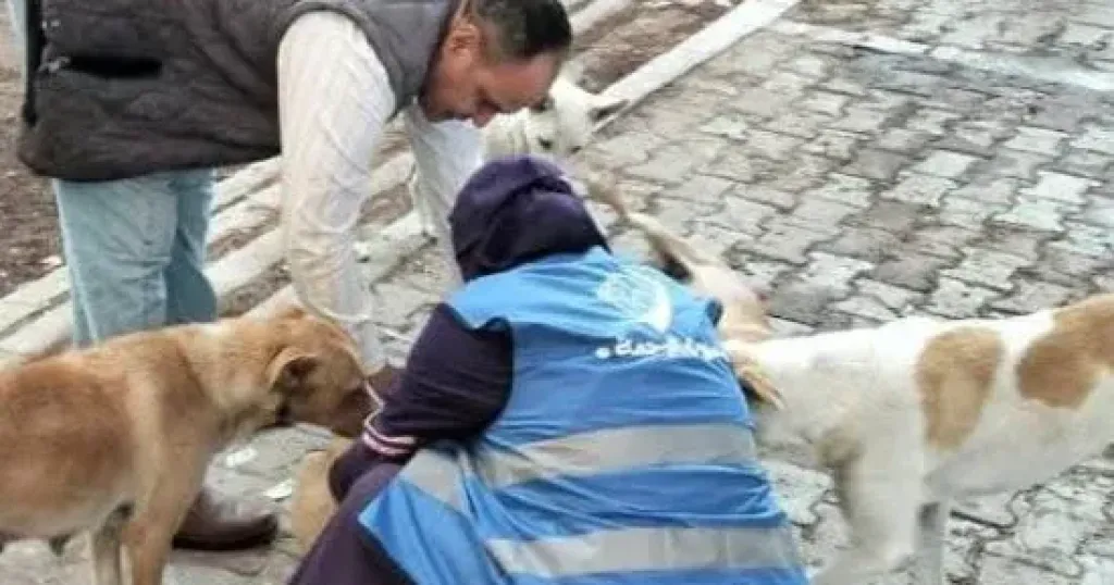 وزارة الزراعة: