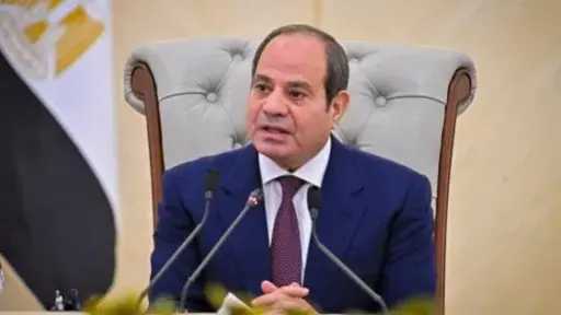 الرئيس السيسى: مخططات النيل من استقرار مصر لم تتوقف.. ولن يستطيع أحد أن يمس أمنها