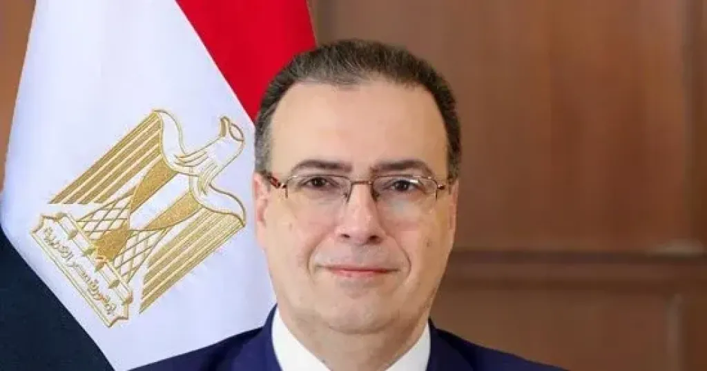 التنظيم والإدارة 