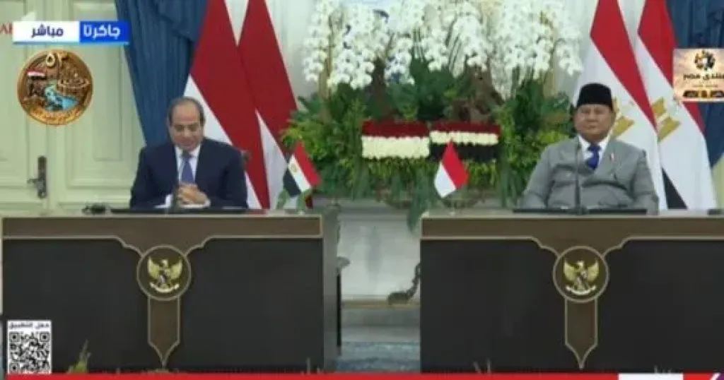 الرئيس السيسى: 