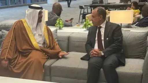 وزير الخارجية يستعرض مستجدات برنامج الإصلاح الاقتصادي والهيكلي في مصر