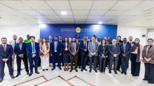 البنك المركزي المصري ينظم برنامجًا تدريبيًا حول المخاطر المناخية بمشاركة 11 مصرفًا أفريقيًا