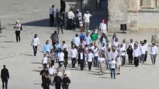 هيئة الجدار والاستيطان: 409 اعتداءات للاحتلال والمستوطنين ضد مزارعى الزيتون